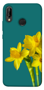 Чехол Golden Daffodil для Huawei P20 Lite