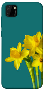 Чохол Golden Daffodil для Huawei Y5p