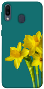 Чехол Golden Daffodil для Galaxy M20
