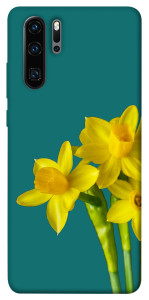 Чохол Golden Daffodil для Huawei P30 Pro