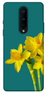 Чохол Golden Daffodil для OnePlus 8