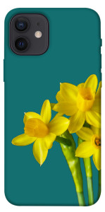 Чохол Golden Daffodil для iPhone 12