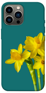 Чохол Golden Daffodil для iPhone 12 Pro Max