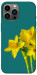 Чехол Golden Daffodil для iPhone 12 Pro Max