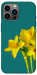 Чохол Golden Daffodil для iPhone 12 Pro Max