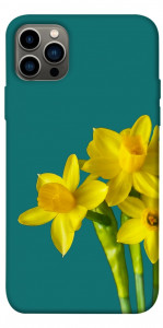 Чехол Golden Daffodil для iPhone 12 Pro