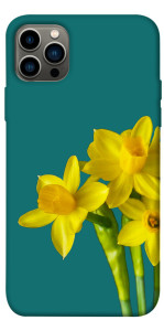 Чехол Golden Daffodil для iPhone 12 Pro