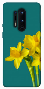 Чехол Golden Daffodil для OnePlus 8 Pro