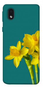 Чохол Golden Daffodil для Samsung Galaxy A01 Core