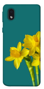 Чехол Golden Daffodil для Samsung Galaxy M01 Core