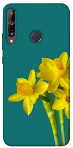 Чехол Golden Daffodil для Huawei P40 Lite E