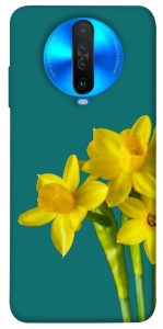 Чехол Golden Daffodil для Xiaomi Poco X2