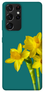 Чехол Golden Daffodil для Galaxy S21 Ultra