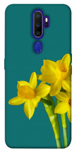 Чохол Golden Daffodil для Oppo A9 (2020)