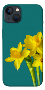 Чехол Golden Daffodil для iPhone 13