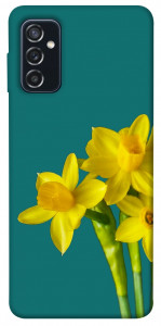 Чохол Golden Daffodil для Galaxy M52