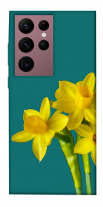 Чохол Golden Daffodil для Galaxy S22 Ultra