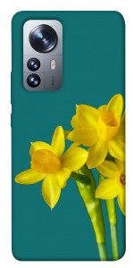 Чехол Golden Daffodil для Xiaomi 12