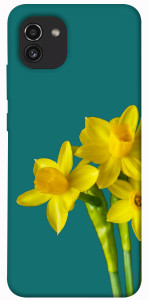 Чохол Golden Daffodil для Galaxy A03