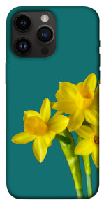Чохол Golden Daffodil для iPhone 14 Pro Max