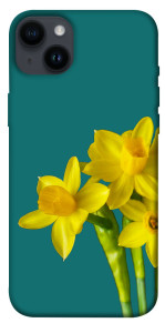 Чехол Golden Daffodil для iPhone 14 Plus