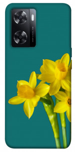 Чохол Golden Daffodil для Oppo A57s