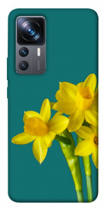 Чехол Golden Daffodil для Xiaomi 12T