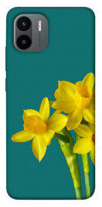 Чохол Golden Daffodil для Xiaomi Redmi A2