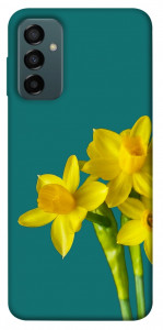 Чохол Golden Daffodil для Galaxy M13 4G