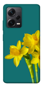 Чехол Golden Daffodil для Xiaomi Redmi Note 12 Pro 5G