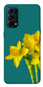 Чохол Golden Daffodil для Oppo Reno 5 4G