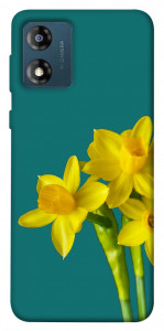 Чехол Golden Daffodil для Motorola Moto E13