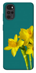 Чехол Golden Daffodil для Motorola Moto G22