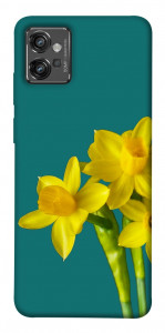 Чехол Golden Daffodil для Motorola Moto G32