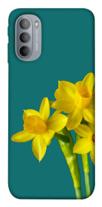 Чохол Golden Daffodil для Motorola Moto G31