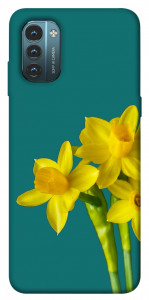 Чохол Golden Daffodil для Nokia G21