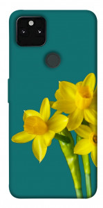 Чехол Golden Daffodil для Google Pixel 5A