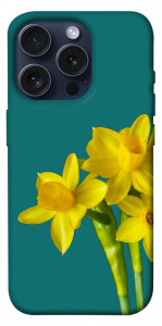 Чехол Golden Daffodil для iPhone 15 Pro