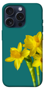 Чохол Golden Daffodil для iPhone 15 Pro