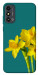 Чехол Golden Daffodil для ZTE Blade A53