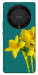 Чохол Golden Daffodil для Huawei Magic5 Lite