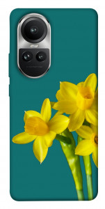 Чехол Golden Daffodil для Oppo Reno10 Pro