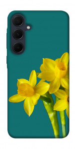 Чохол Golden Daffodil для Galaxy A35