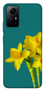 Чехол Golden Daffodil для Xiaomi Redmi Note 12S