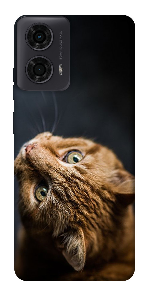 Чохол Рудий кіт для Motorola Moto G24