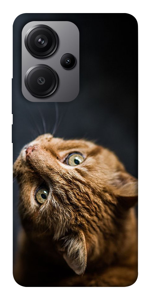 Чохол Рудий кіт для Xiaomi Redmi Note 13 Pro+