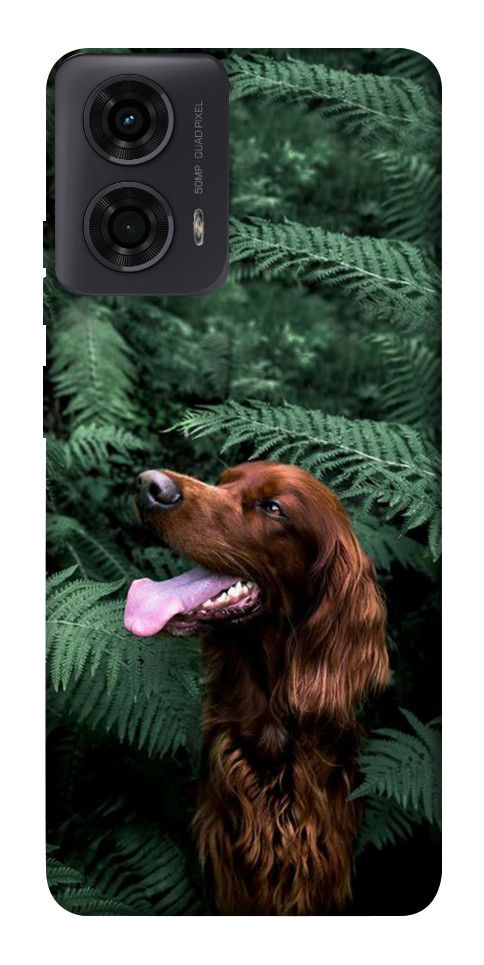 Чехол Собака в зелени для Motorola Moto G24