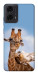 Чехол Милые жирафы для Motorola Moto G04
