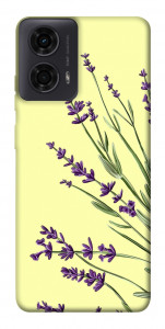 Чехол Lavender art для Motorola Moto G04