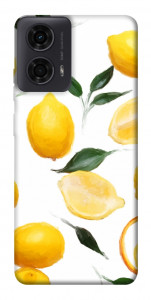 Чехол Lemons для Motorola Moto G04